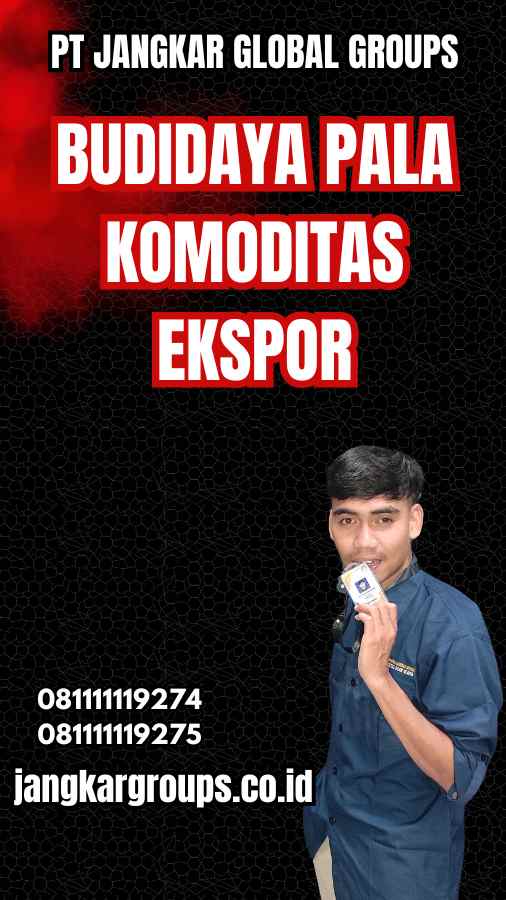 Budidaya Pala Komoditas Ekspor Jangkar Global Groups