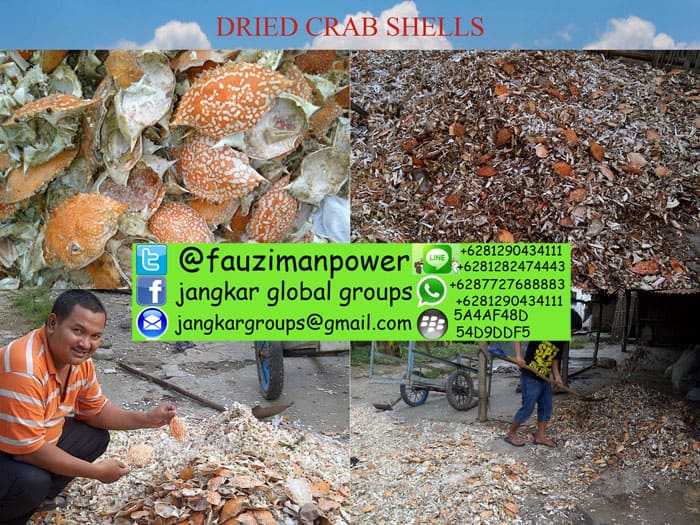 cangkang kepiting Driel crab shell