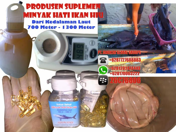 pabrik minyak hati ikan hiu botol squalene