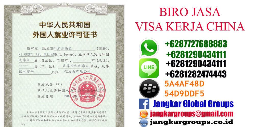 visa kerja china