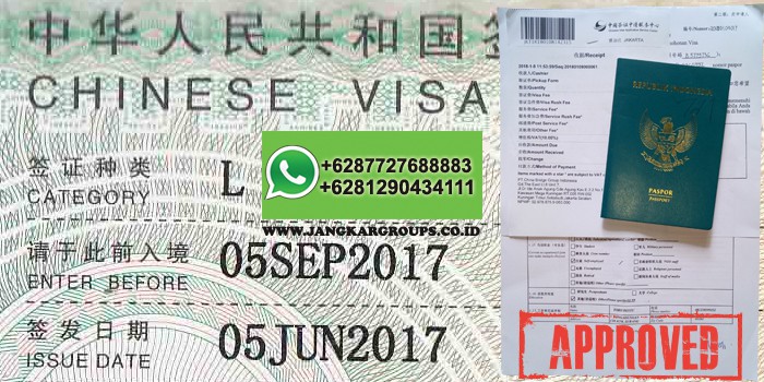 agent visa china