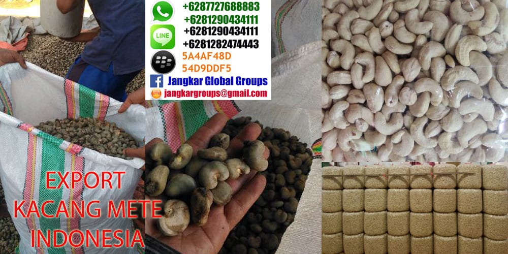 export cashew nuts