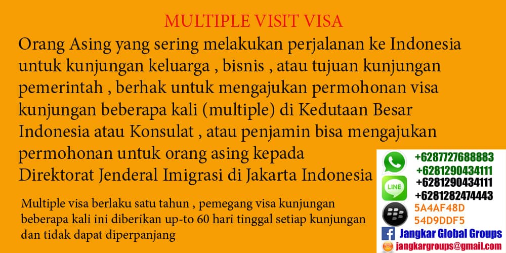 visa kunjungan yaitu 