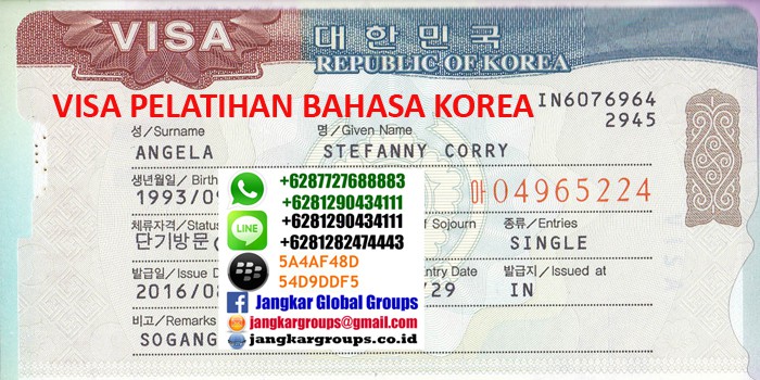 visa pelatihan bahasa korea