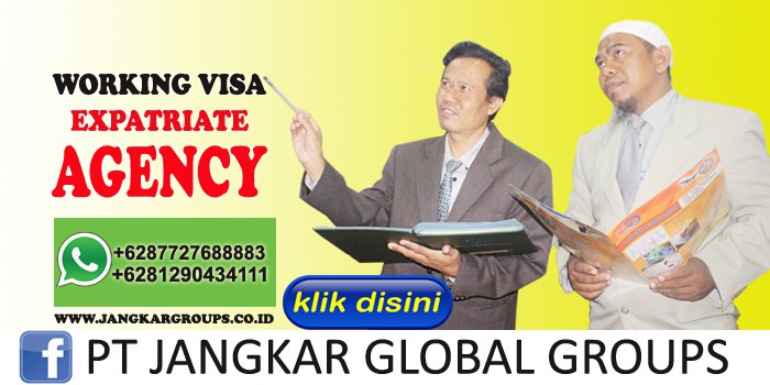 working visa expatriate agency