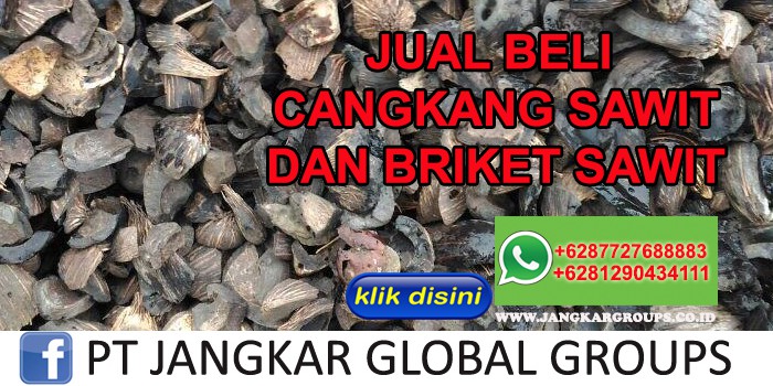 JUAL BELI CANGKANG SAWIT DAN BRIKET CANGKANG SAWIT | export cangkang sawit dan briket sawit