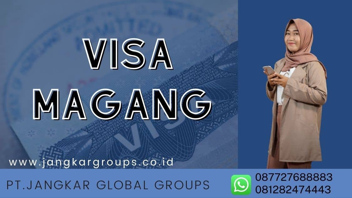 Visa magang