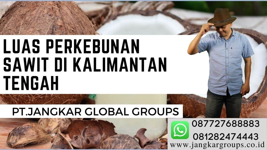 Luas perkebunan sawit di Kalimantan Tengah