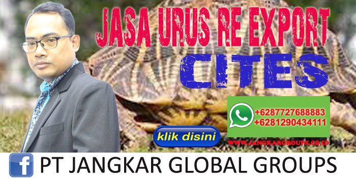 Jasa Urus Re-export CITES