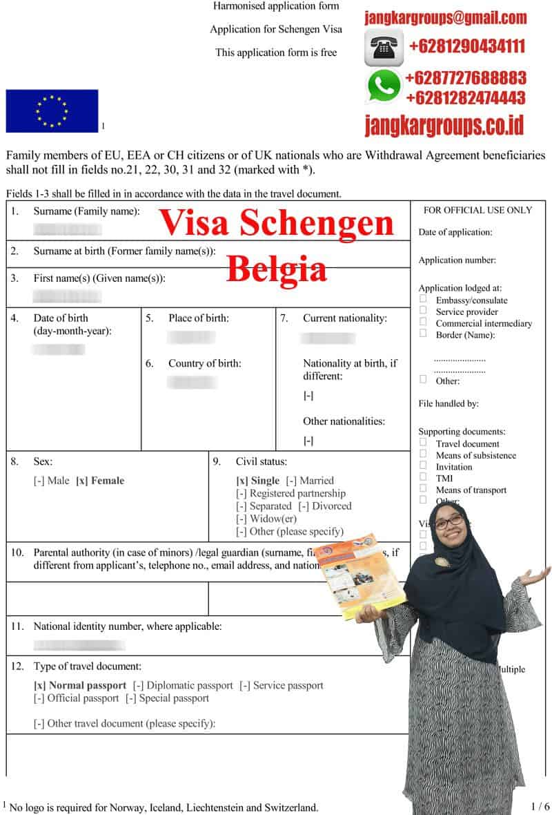 contoh formulir visa schengen belgia