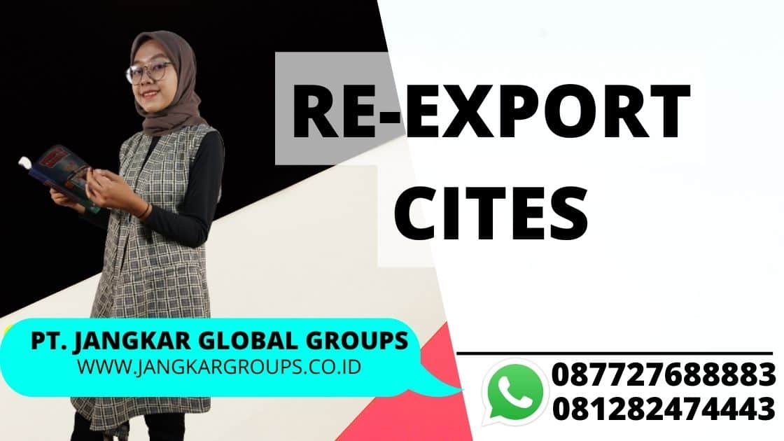 re-export CITES, Jasa Urus Re-export CITES