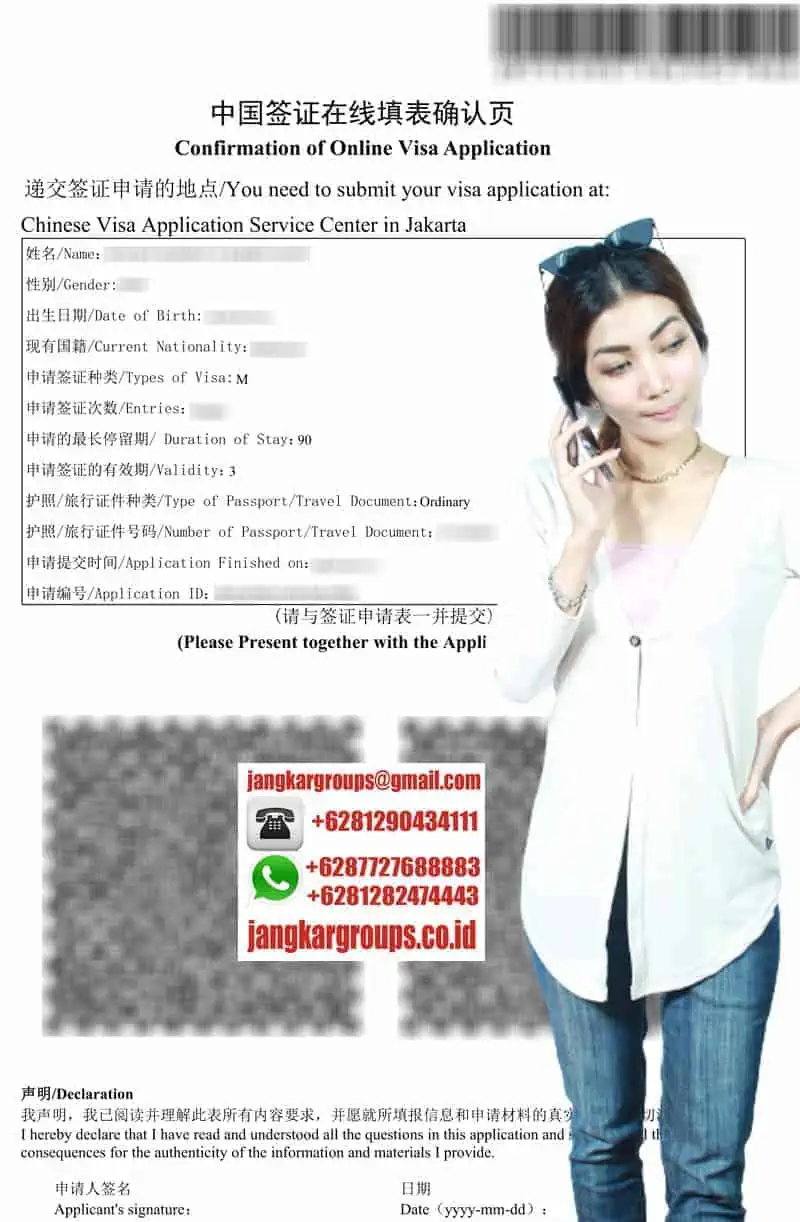 Confirmation of Online Visa China Aplication