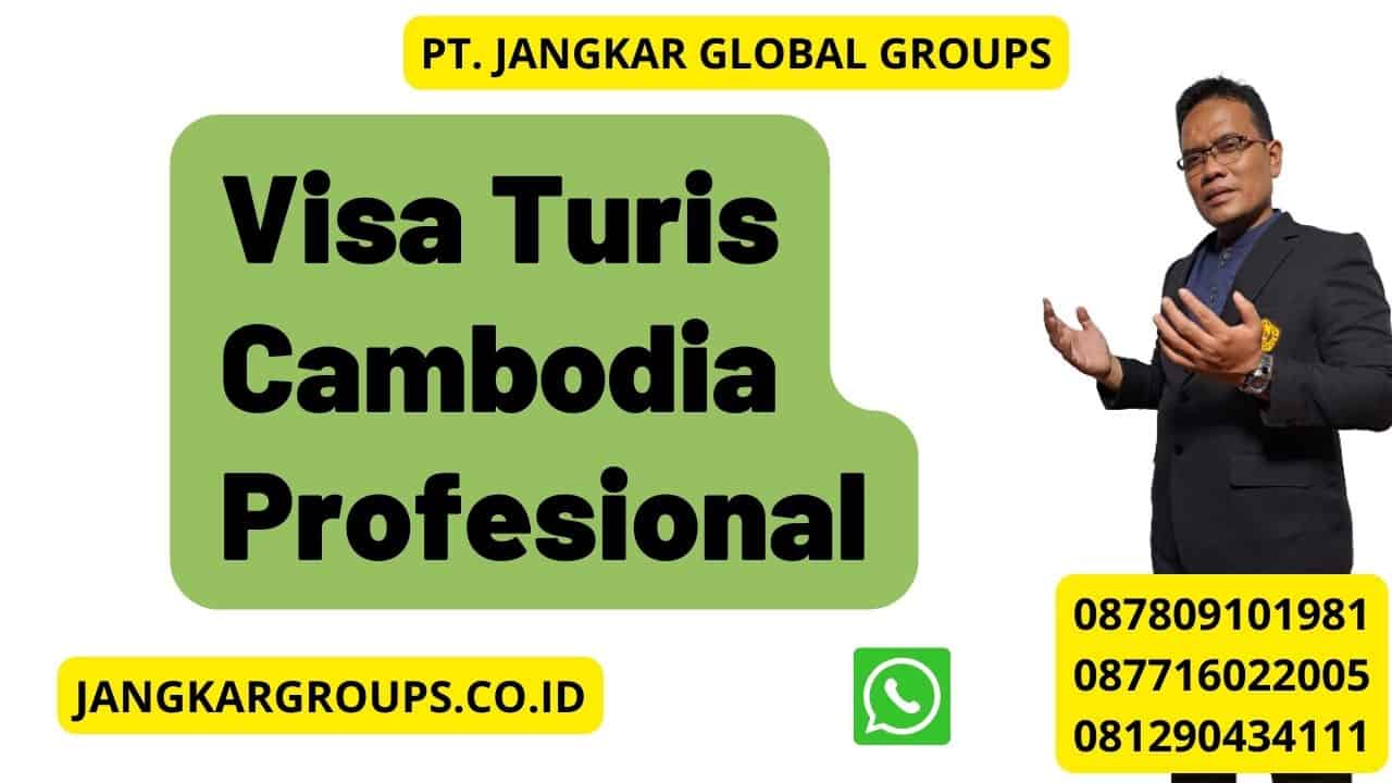Visa Turis Cambodia Profesional
