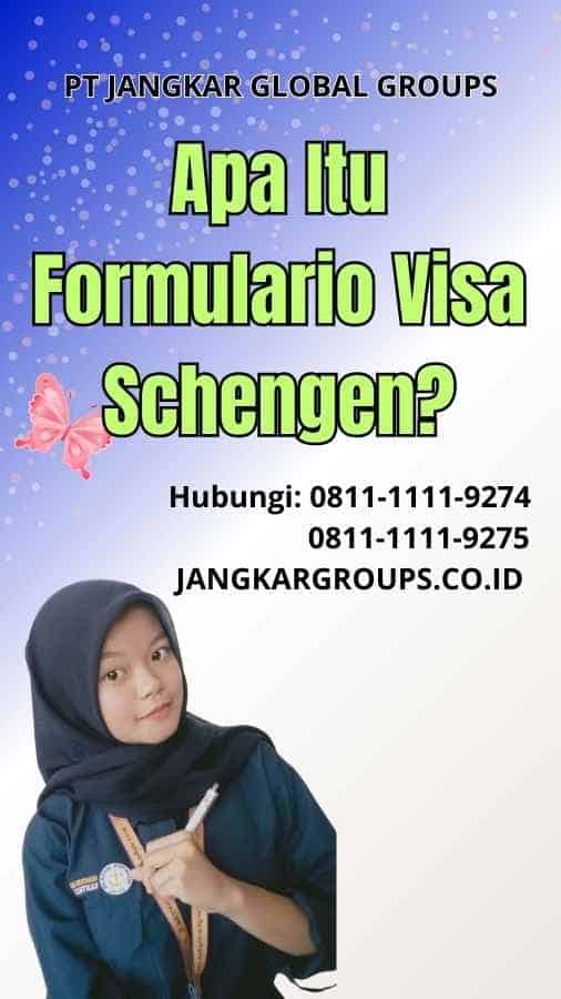 Apa Itu Formulario Visa Schengen