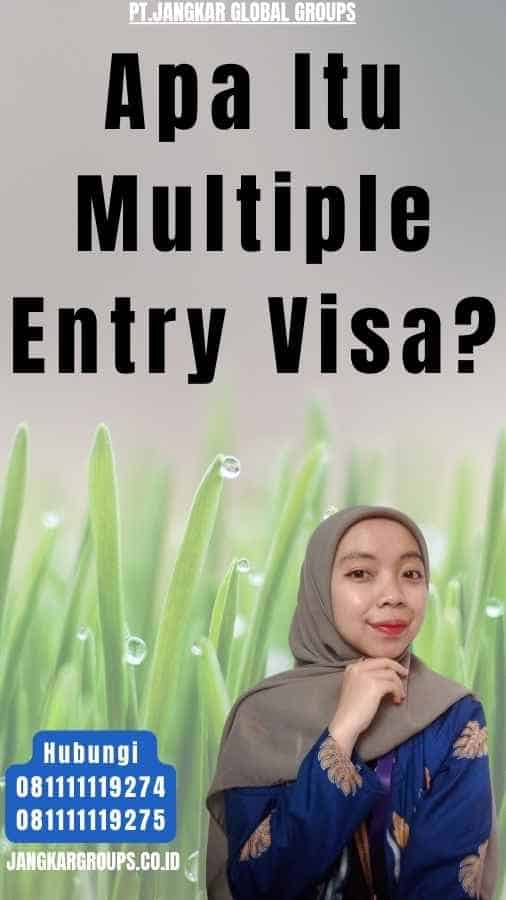 Apa Itu Multiple Entry Visa