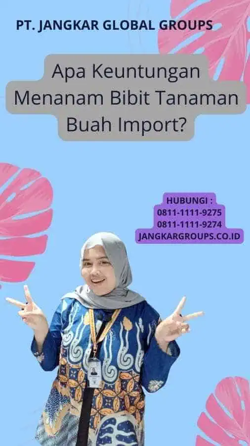 Apa Keuntungan Menanam Bibit Tanaman Buah Import?