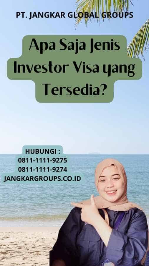 Apa Saja Jenis Investor Visa yang Tersedia?