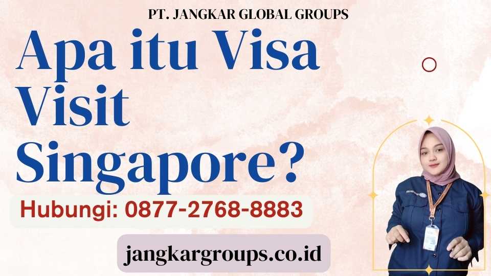 Apa itu Visa Visit Singapore