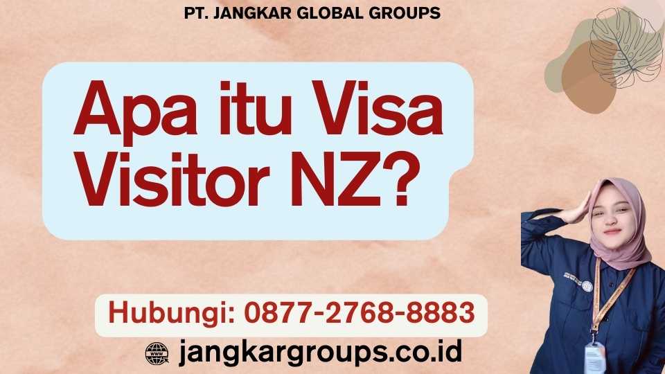 Apa itu Visa Visitor NZ