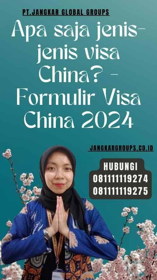 Apa saja jenis-jenis visa China - Formulir Visa China 2024