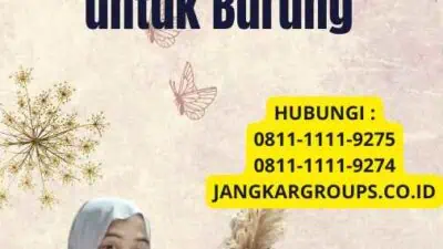 Pakan Impor Kenari - Kualitas Terbaik untuk Burung