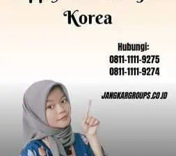 Panduan Lengkap Apply Visa Pelajar Korea