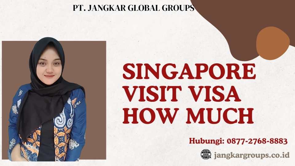 Singapore Visit Visa How Much