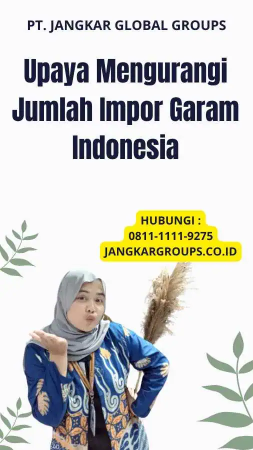 Upaya Mengurangi Jumlah Impor Garam Indonesia