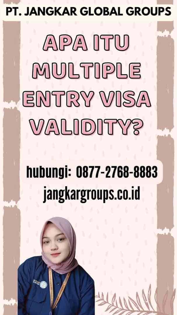 Apa itu Multiple Entry Visa Validity