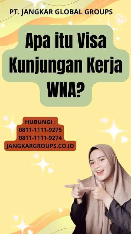 Apa itu Visa Kunjungan Kerja WNA?