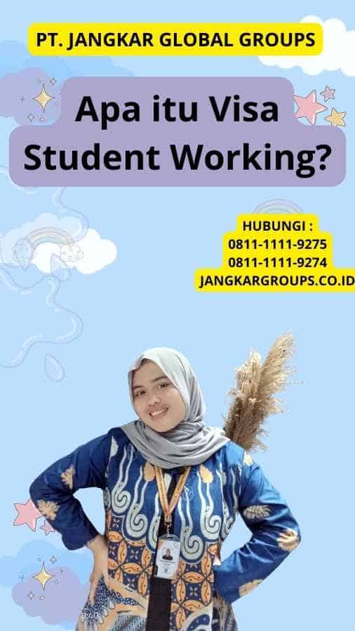 Apa itu Visa Student Working?