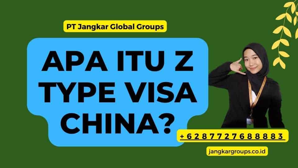 Apa itu Z Type Visa China?