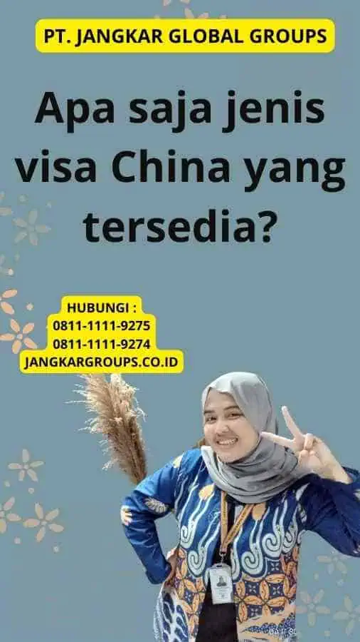 Apa saja jenis visa China yang tersedia?