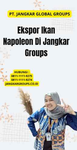 Ekspor Ikan Napoleon Di Jangkar Groups