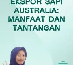 Ekspor Sapi Australia Manfaat dan Tantangan