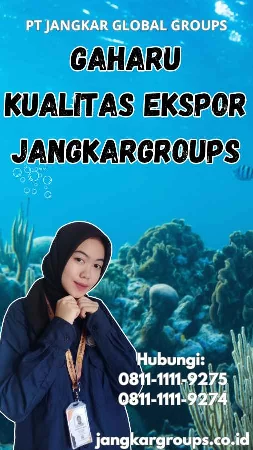 Gaharu Kualitas Ekspor Jangkargroups