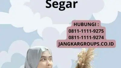 Jenis Buah Import yang Populer - Peluang Bisnis Buah Segar