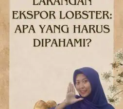 Larangan Ekspor Lobster Apa yang Harus Dipahami