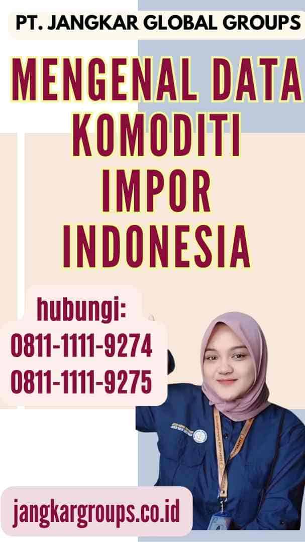Mengenal Data Komoditi Impor Indonesia
