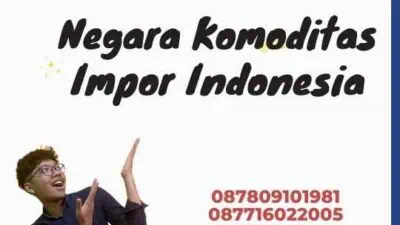 Negara Komoditas Impor Indonesia