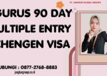 Ngurus 90 Day Multiple Entry Schengen Visa