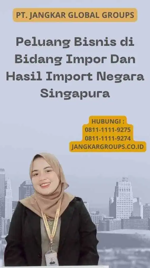 Peluang Bisnis di Bidang Impor Dan Hasil Import Negara Singapura