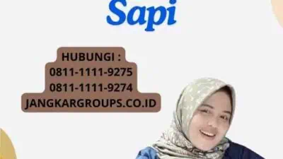 Pro Dan Kontra Import Daging Sapi