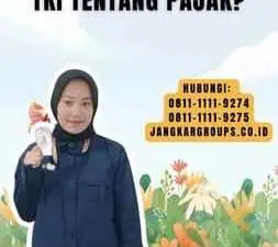 TKI Kena Pajak Apa yang Harus Diketahui TKI tentang Pajak