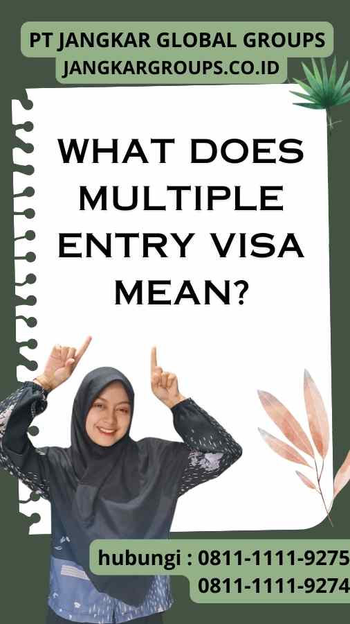 What Does Multiple Entry Visa Mean