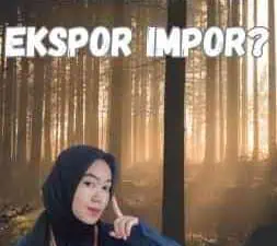 Apa Perbedaan Ekspor Impor