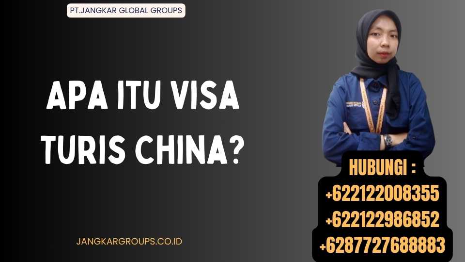 Apa itu Visa Turis China