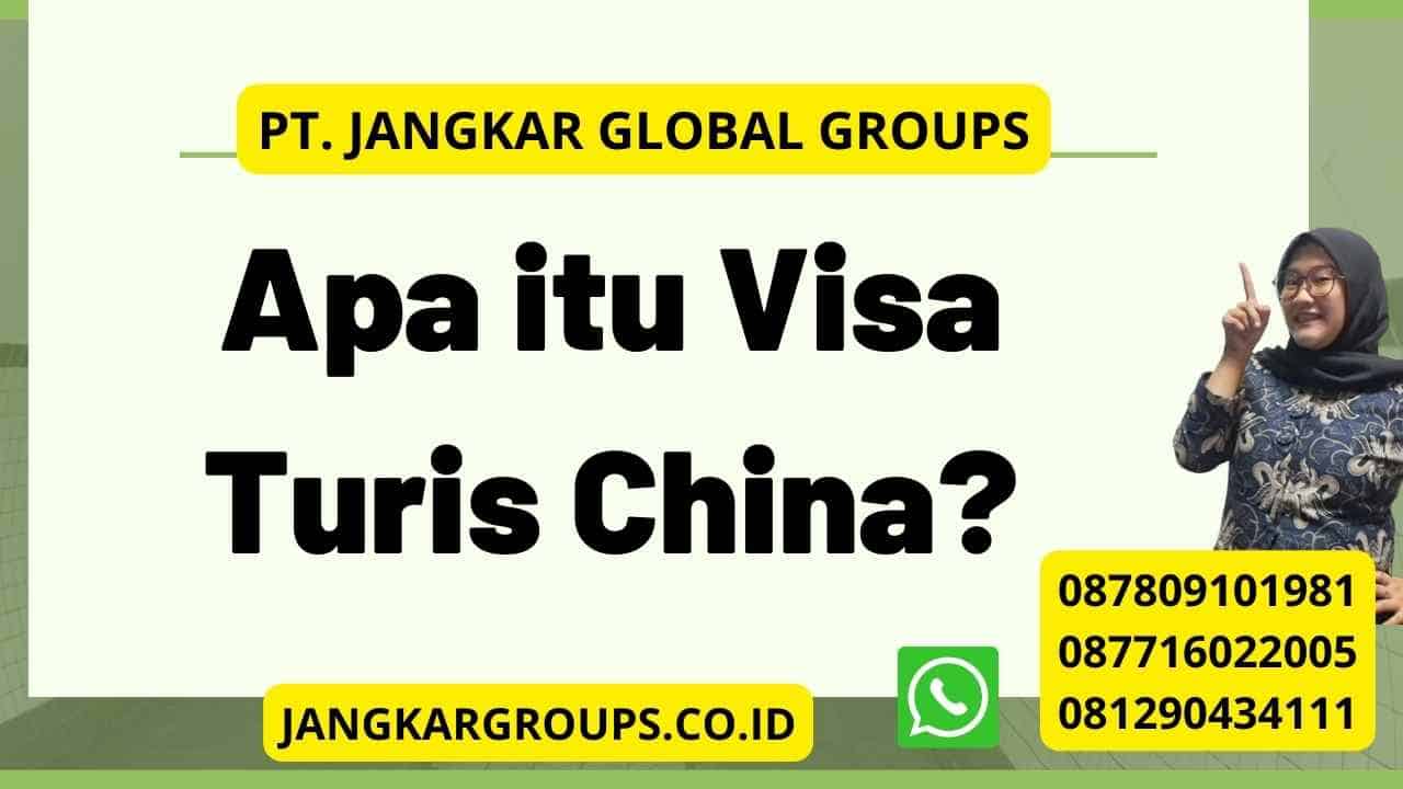 Apa itu Visa Turis China?