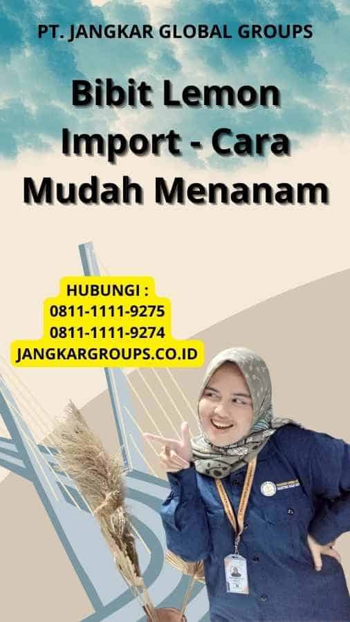 Bibit Lemon Import - Cara Mudah Menanam