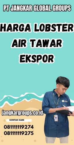 Harga Lobster Air Tawar Ekspor